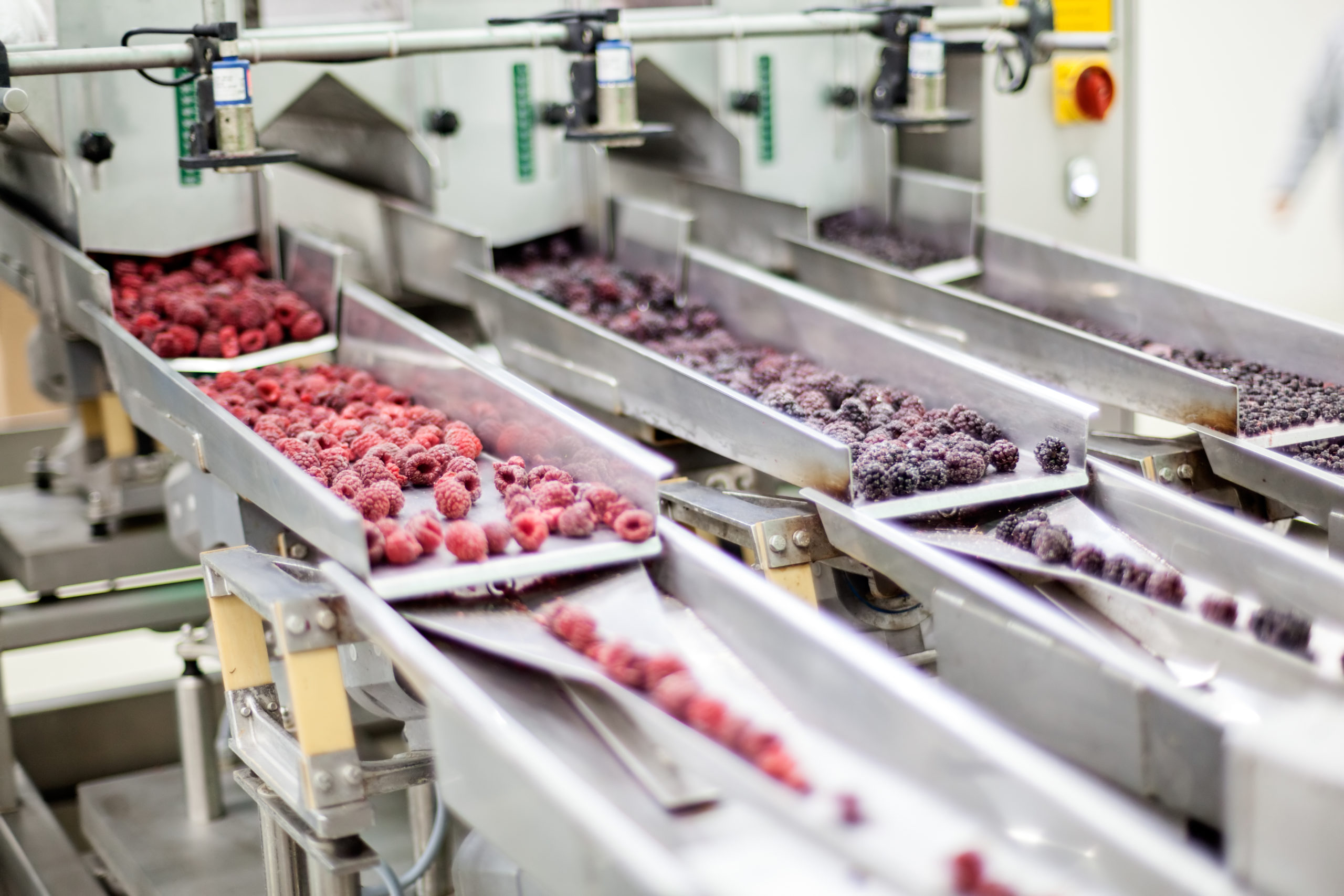 Supply Chain Diligence Helps Food Company Identify Synergies, Cost Savings